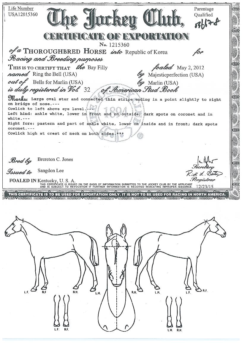 �������� ����,���,�޸�,�λ�,�ٸ��� Ư¡����