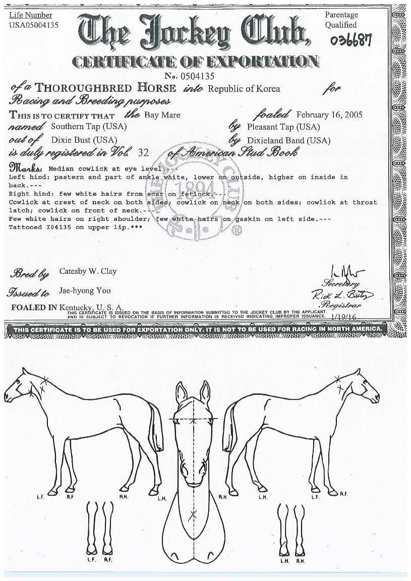 �������� ����,���,�޸�,�λ�,�ٸ��� Ư¡����