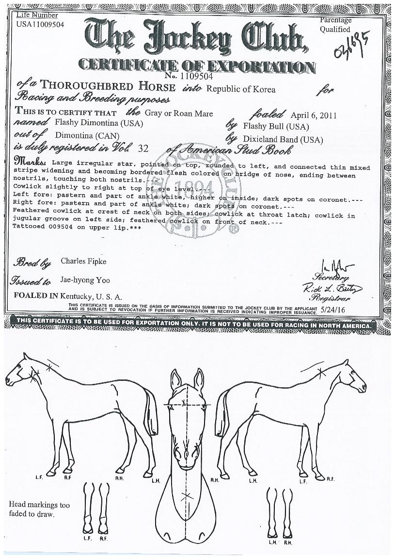 Ç÷¡½¬µð¸¸Æ¼³ÊÀÇ Ãø¸é,¿ì¸é,µÞ¸é,µÎ»ó,´Ù¸®ÀÇ Æ¯Â¡µµÇØ