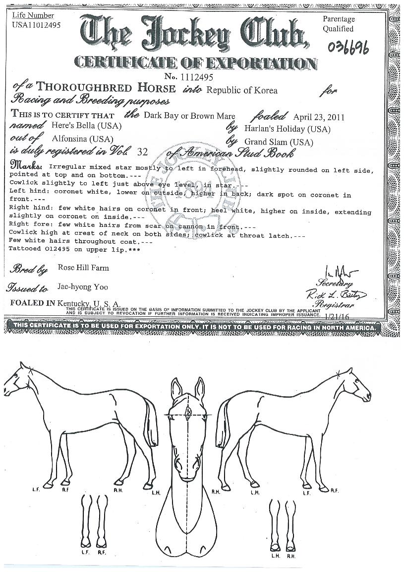 ��������� ����,���,�޸�,�λ�,�ٸ��� Ư¡����