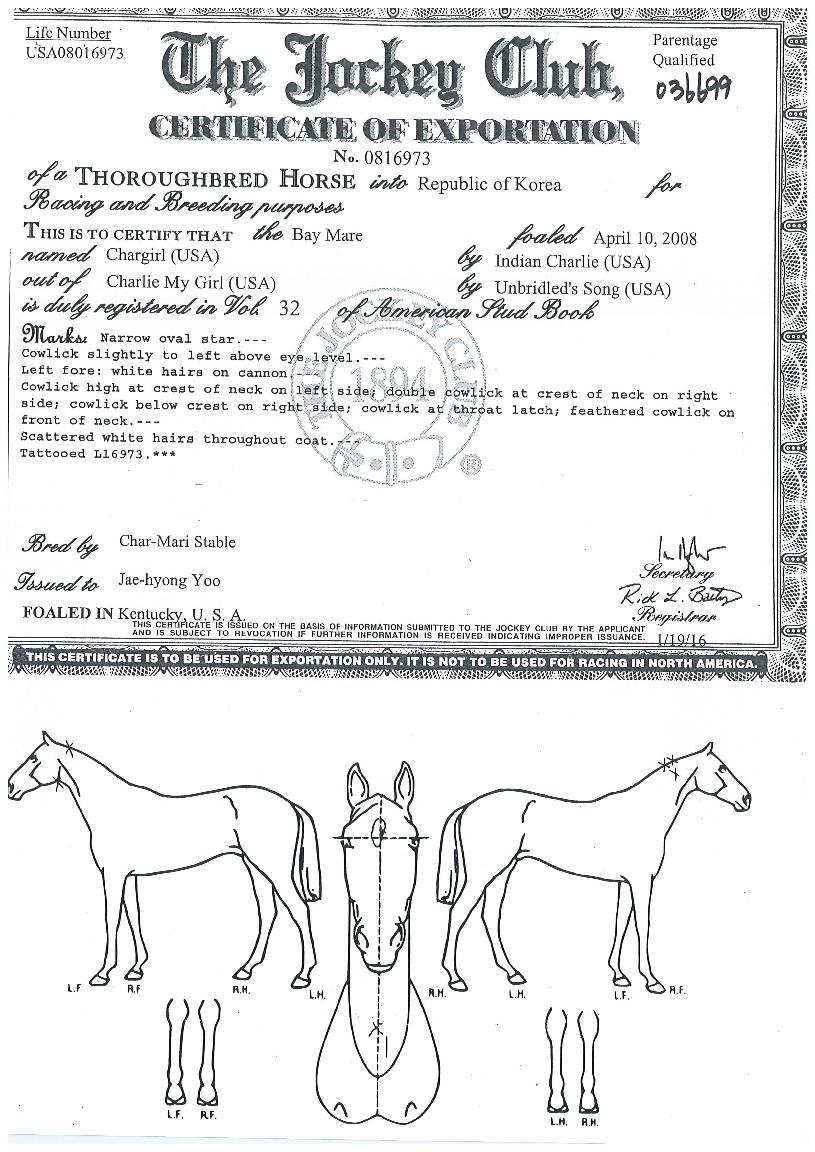 Â÷°ÉÀÇ Ãø¸é,¿ì¸é,µÞ¸é,µÎ»ó,´Ù¸®ÀÇ Æ¯Â¡µµÇØ