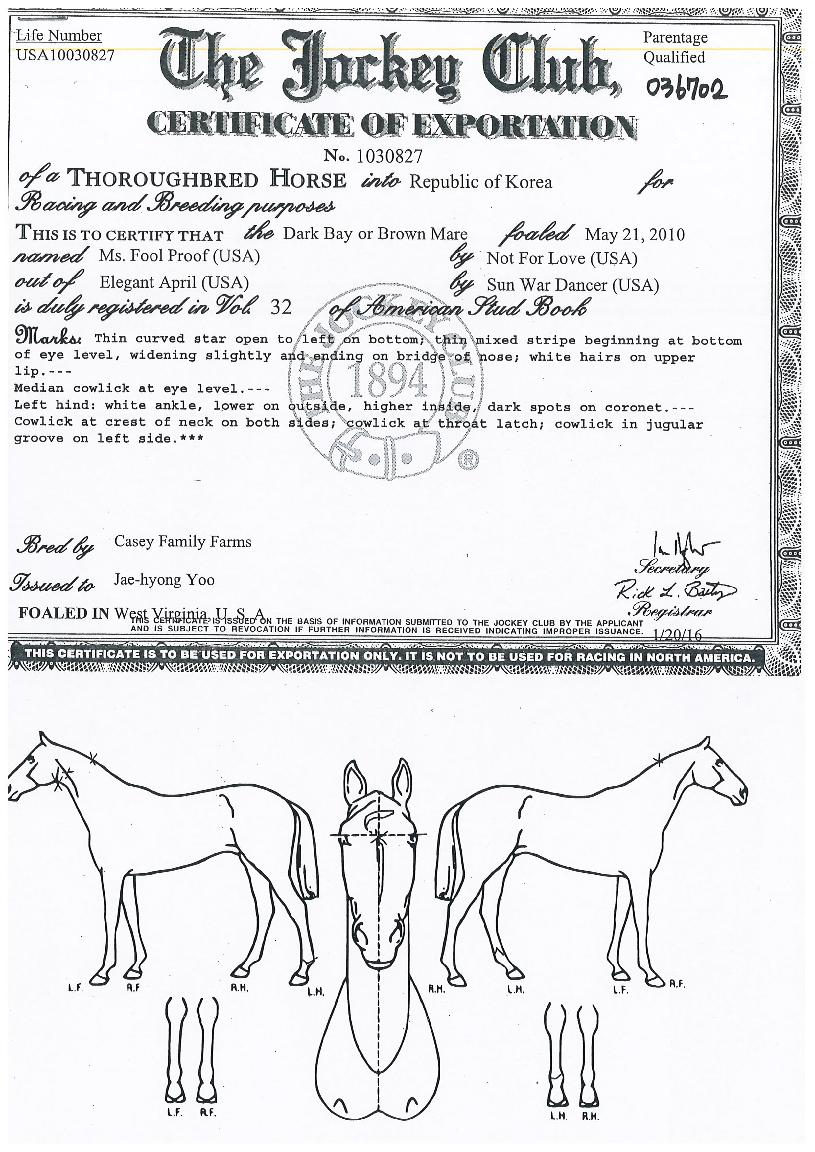 ����Ǯ�������� ����,���,�޸�,�λ�,�ٸ��� Ư¡����