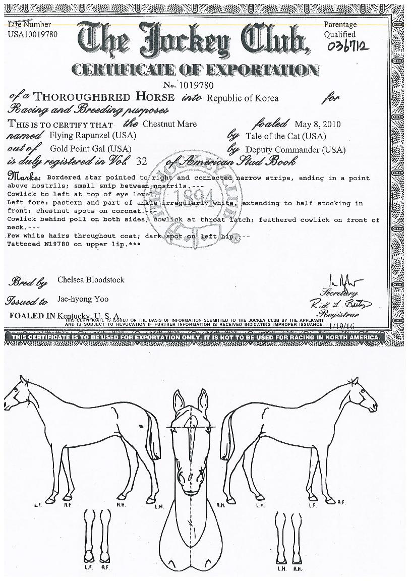 ÇöóÀ×¶óǬÁ©ÀÇ Ãø¸é,¿ì¸é,µÞ¸é,µÎ»ó,´Ù¸®ÀÇ Æ¯Â¡µµÇØ