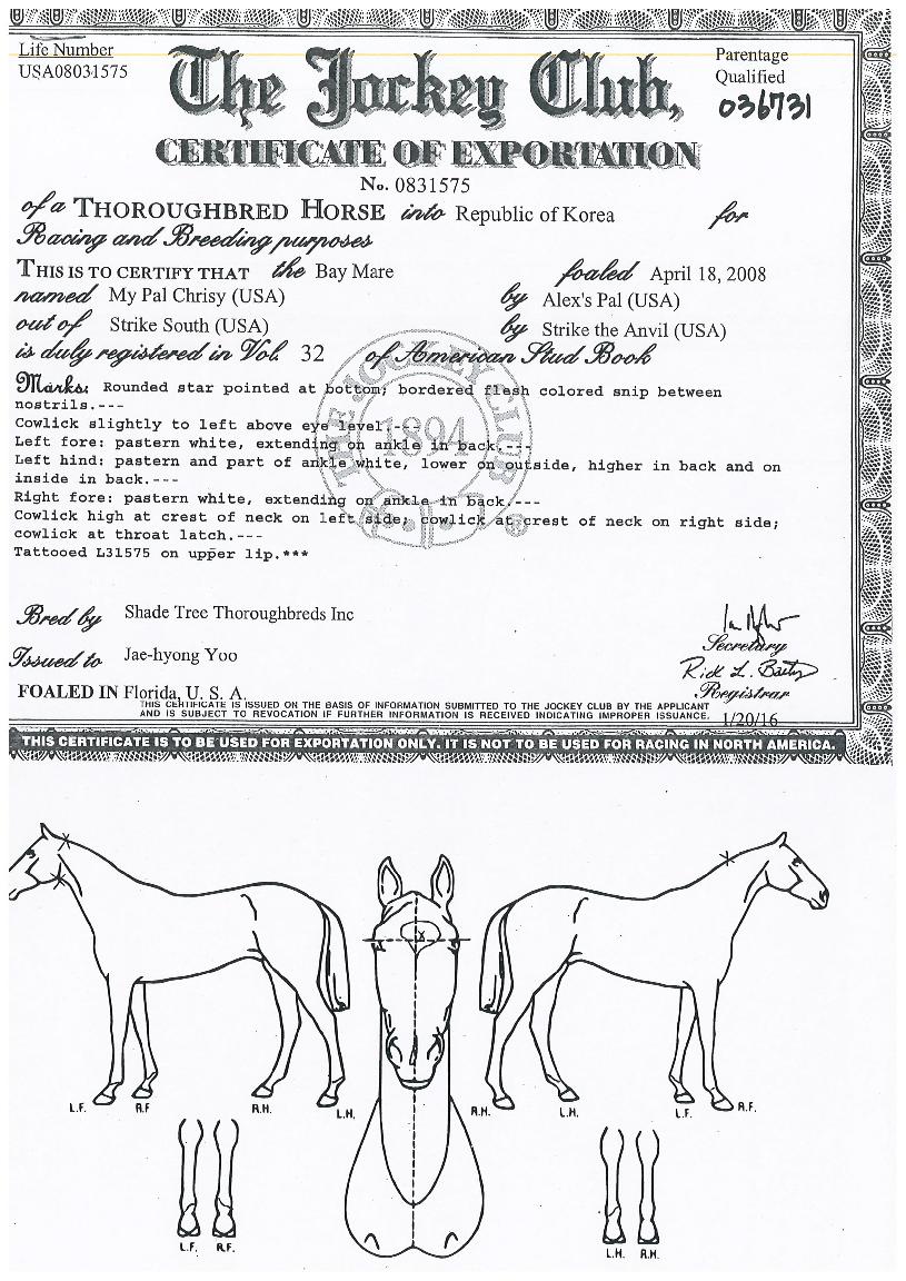 ������ũ������ ����,���,�޸�,�λ�,�ٸ��� Ư¡����