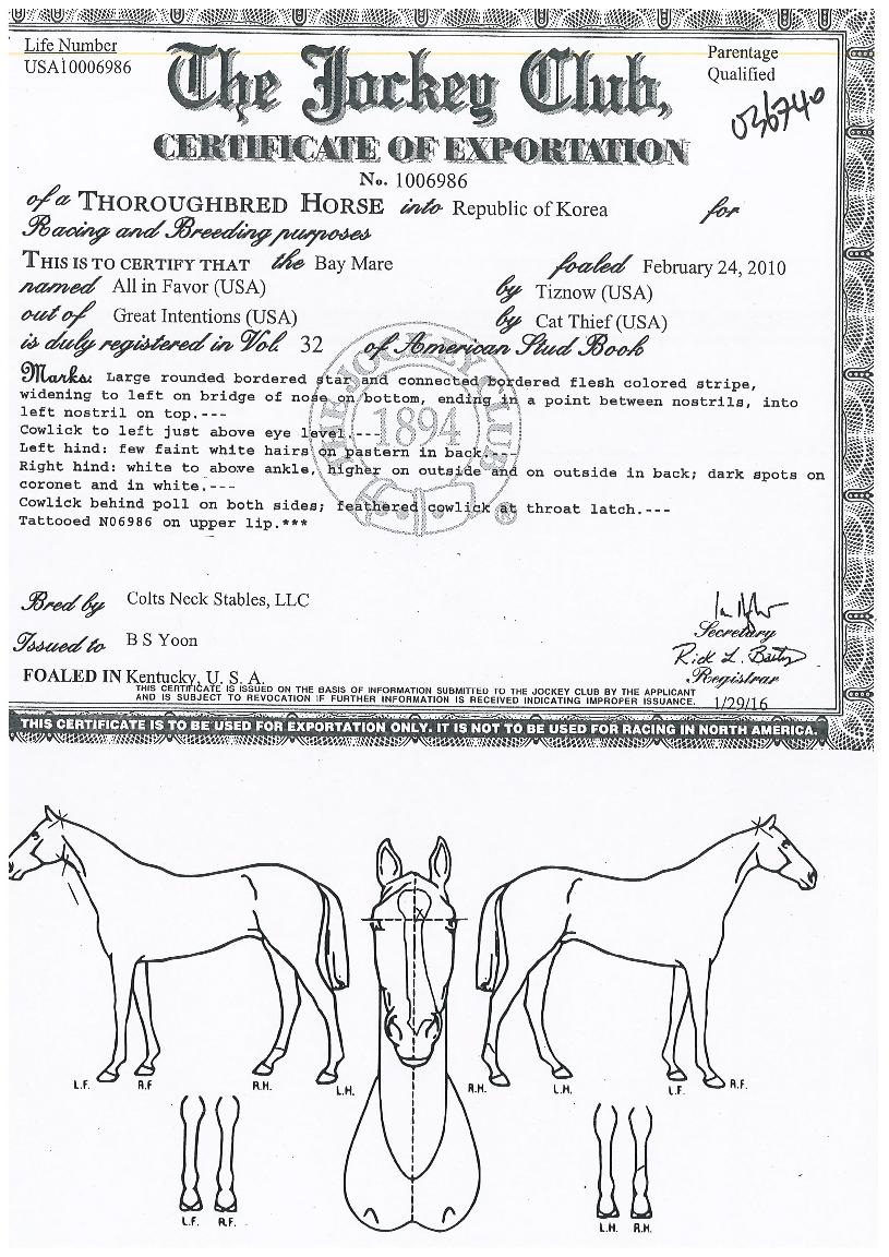 ¿ÃÀÎÈÑÀ̹öÀÇ Ãø¸é,¿ì¸é,µÞ¸é,µÎ»ó,´Ù¸®ÀÇ Æ¯Â¡µµÇØ