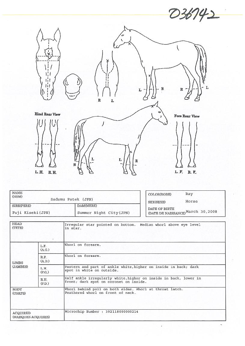 �������ũ�� ����,���,�޸�,�λ�,�ٸ��� Ư¡����