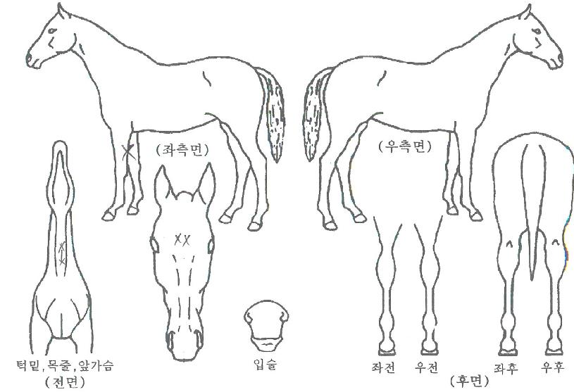 Ÿ���������� ����,���,�޸�,�λ�,�ٸ��� Ư¡����