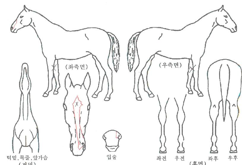 ���������� ����,���,�޸�,�λ�,�ٸ��� Ư¡����