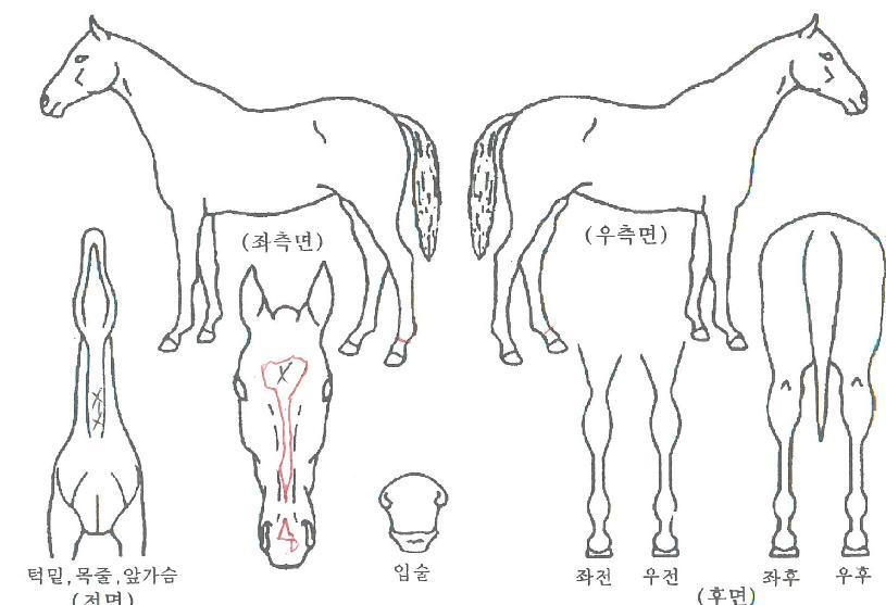 �������� ����,���,�޸�,�λ�,�ٸ��� Ư¡����