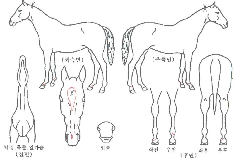 �������� ����,���,�޸�,�λ�,�ٸ��� Ư¡����