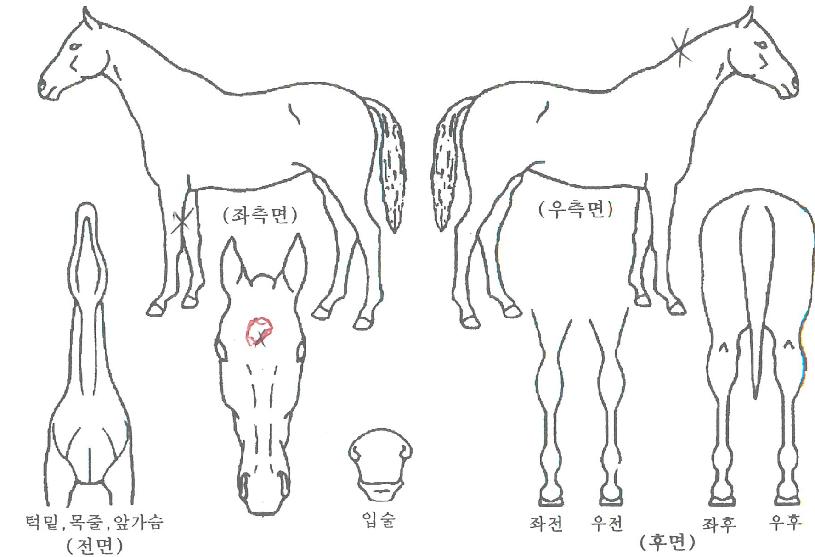 �¸������� ����,���,�޸�,�λ�,�ٸ��� Ư¡����