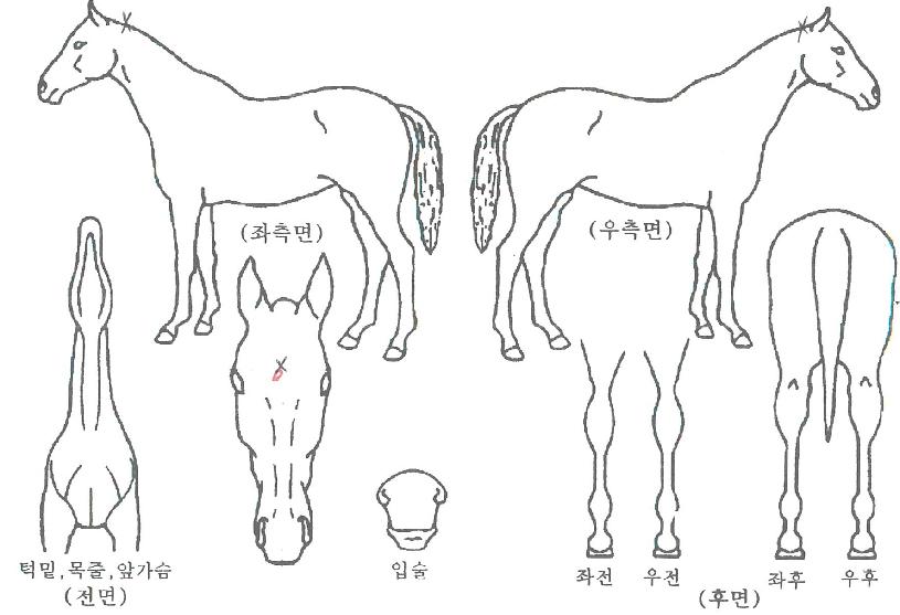 ���͹��� ����,���,�޸�,�λ�,�ٸ��� Ư¡����