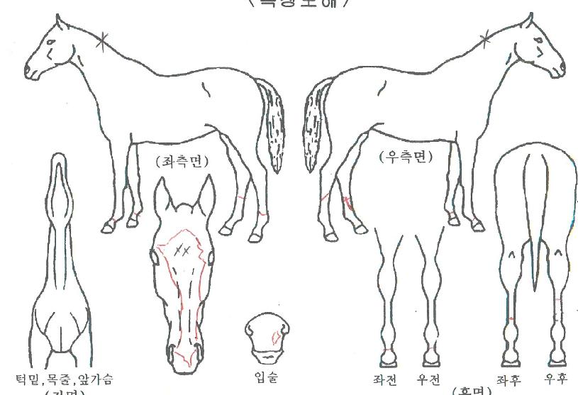 ��������� ����,���,�޸�,�λ�,�ٸ��� Ư¡����