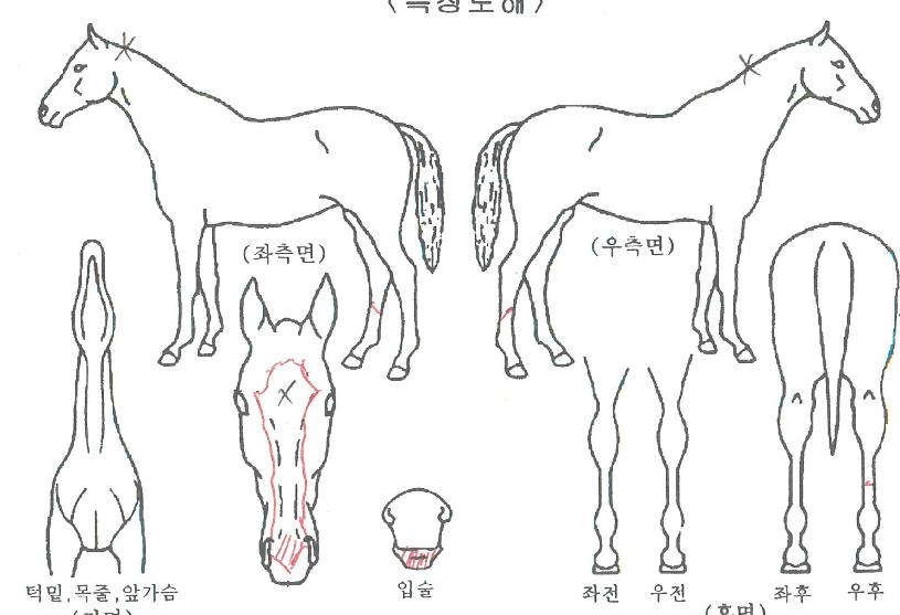 �������� ����,���,�޸�,�λ�,�ٸ��� Ư¡����