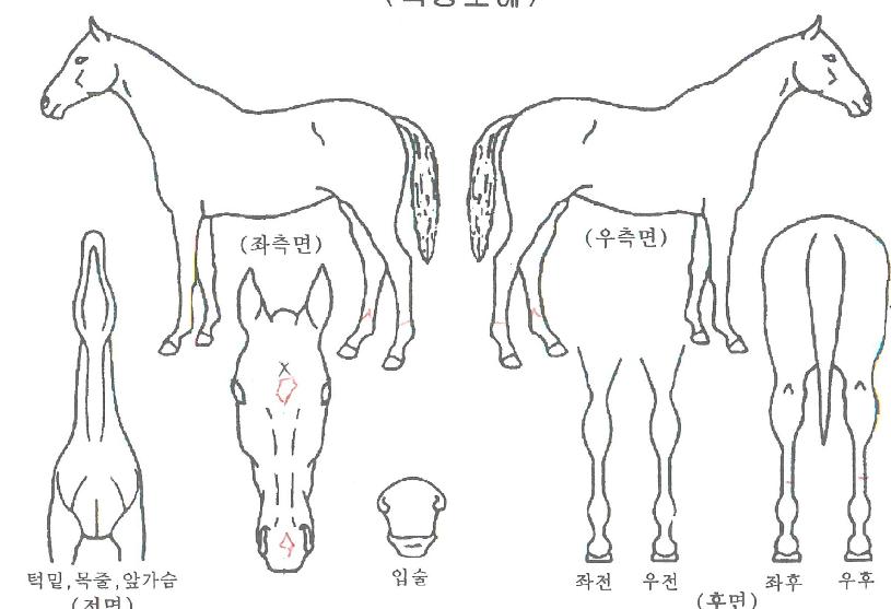 ť�ǵ尭���� ����,���,�޸�,�λ�,�ٸ��� Ư¡����