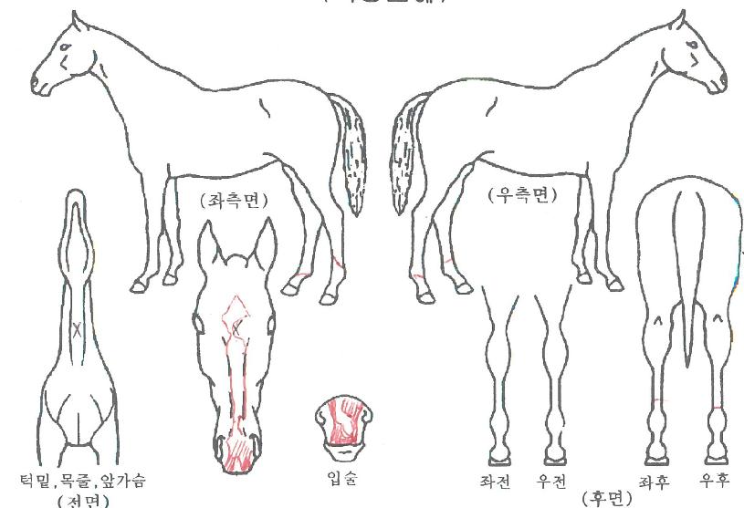 ���������� ����,���,�޸�,�λ�,�ٸ��� Ư¡����