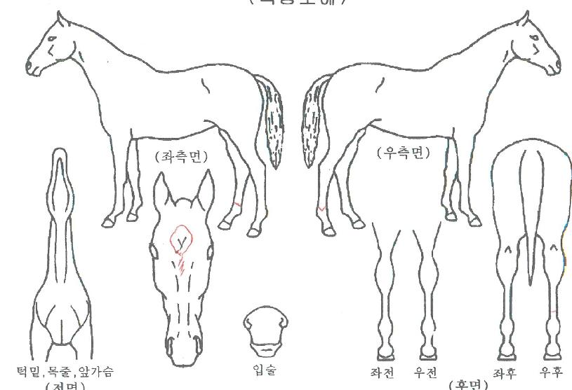 �޸����� ����,���,�޸�,�λ�,�ٸ��� Ư¡����