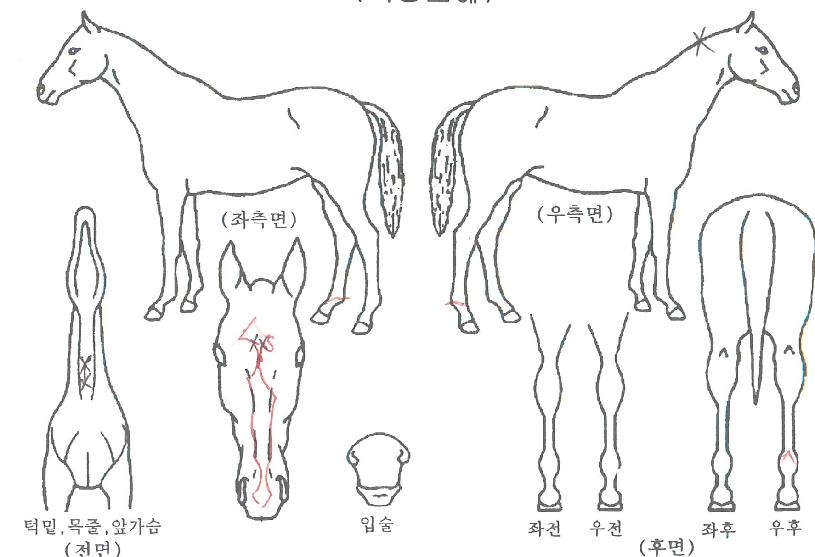 Ŭ·¡½Ä¸ÅÄ¡ÀÇ Ãø¸é,¿ì¸é,µÞ¸é,µÎ»ó,´Ù¸®ÀÇ Æ¯Â¡µµÇØ