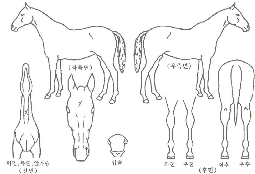 ������ġ�� ����,���,�޸�,�λ�,�ٸ��� Ư¡����