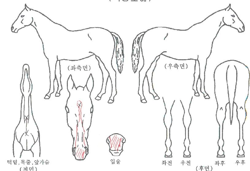 ��׺���� ����,���,�޸�,�λ�,�ٸ��� Ư¡����