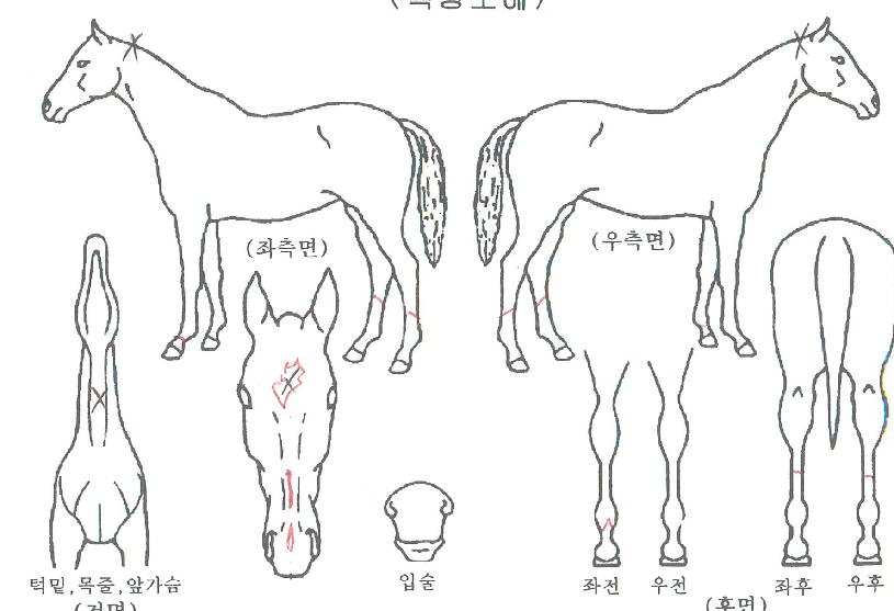 ¼±´õ±Û·Î¸®ÀÇ Ãø¸é,¿ì¸é,µÞ¸é,µÎ»ó,´Ù¸®ÀÇ Æ¯Â¡µµÇØ