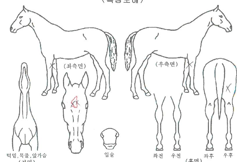 ��ֽ�Ÿ�� ����,���,�޸�,�λ�,�ٸ��� Ư¡����