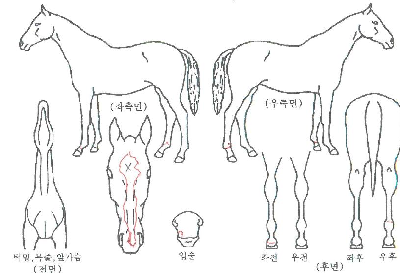 �������� ����,���,�޸�,�λ�,�ٸ��� Ư¡����