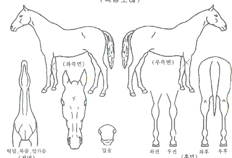 �������� ����,���,�޸�,�λ�,�ٸ��� Ư¡����