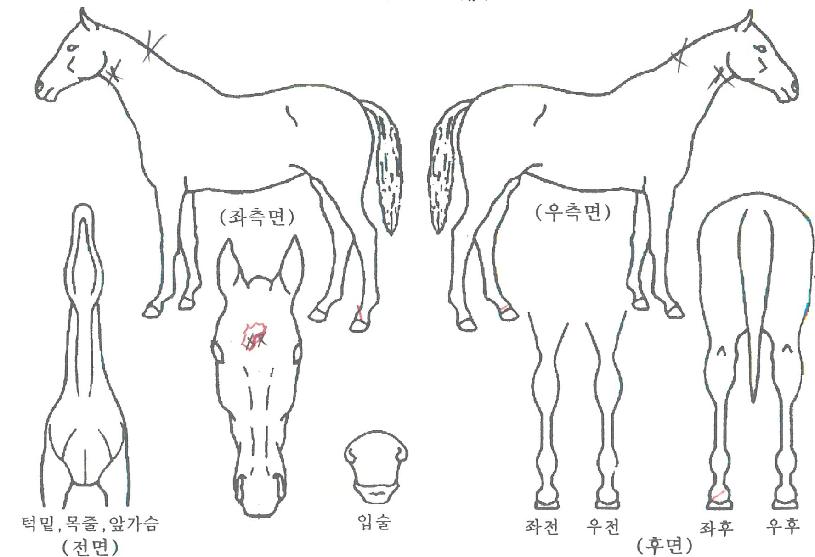 �Ͷ�Ͷ���� ����,���,�޸�,�λ�,�ٸ��� Ư¡����