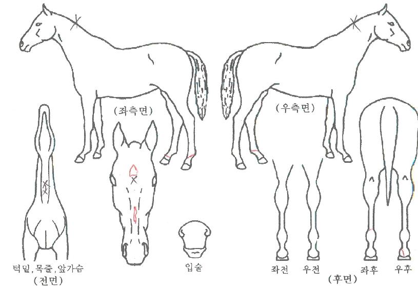 ���ϵ������ ����,���,�޸�,�λ�,�ٸ��� Ư¡����