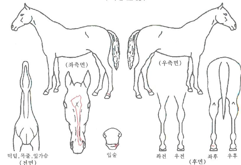 ����ȹ����� ����,���,�޸�,�λ�,�ٸ��� Ư¡����