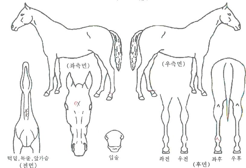 ����Ȱ���� ����,���,�޸�,�λ�,�ٸ��� Ư¡����