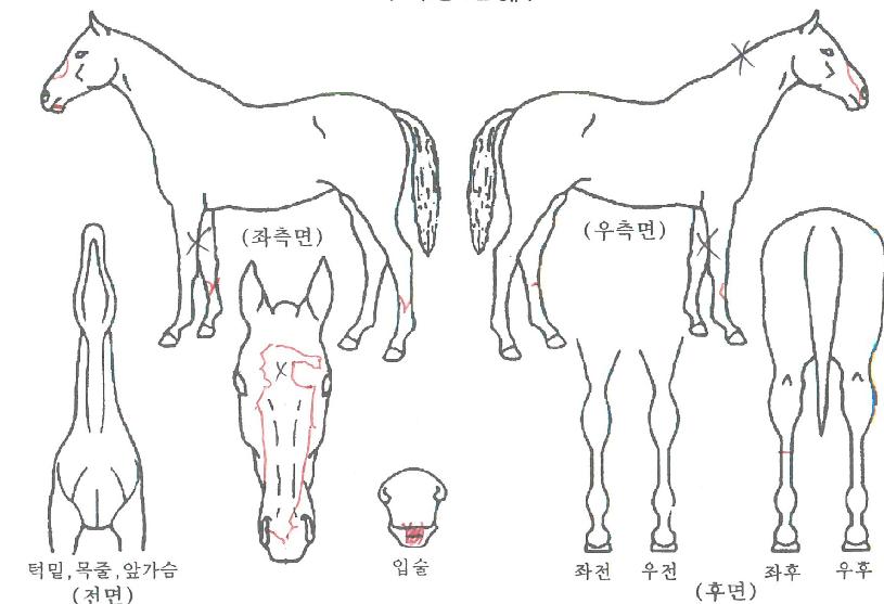 ���������� ����,���,�޸�,�λ�,�ٸ��� Ư¡����