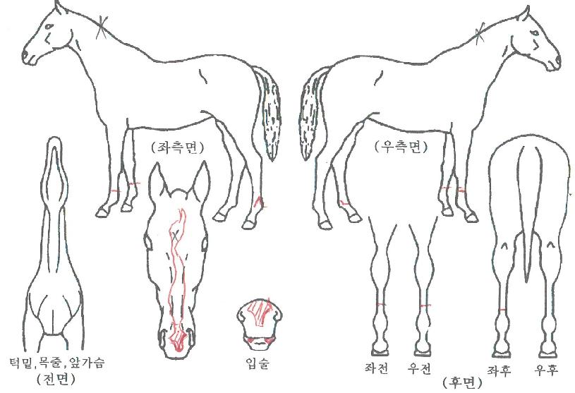 ����Ÿ�� ����,���,�޸�,�λ�,�ٸ��� Ư¡����