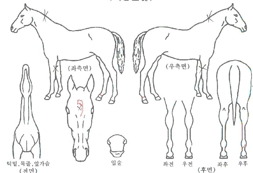 �����ƽ����� ����,���,�޸�,�λ�,�ٸ��� Ư¡����