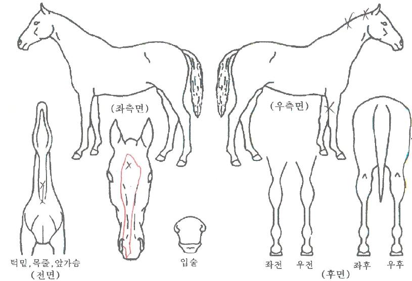 ��Ÿ��ƽ���� ����,���,�޸�,�λ�,�ٸ��� Ư¡����