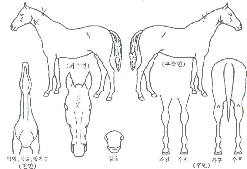 ���������� ����,���,�޸�,�λ�,�ٸ��� Ư¡����