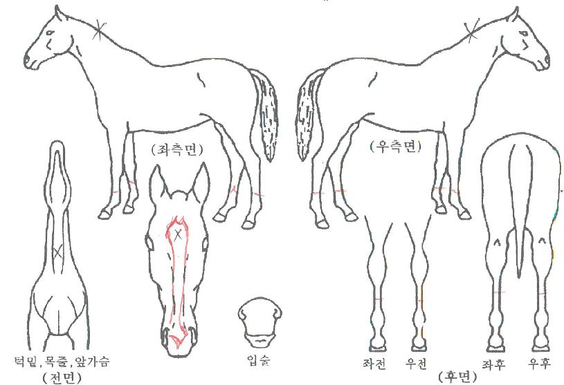 ��ƶ����� ����,���,�޸�,�λ�,�ٸ��� Ư¡����