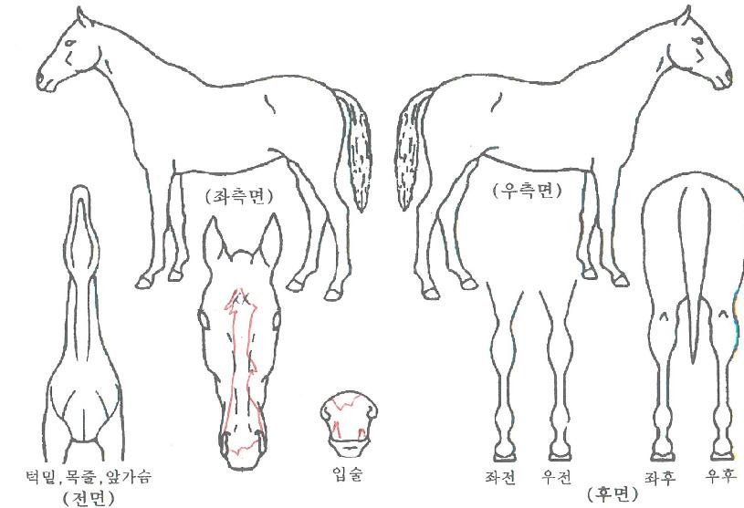 ������Ʈ���� ����,���,�޸�,�λ�,�ٸ��� Ư¡����