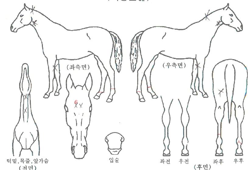 ���ͼ����� ����,���,�޸�,�λ�,�ٸ��� Ư¡����