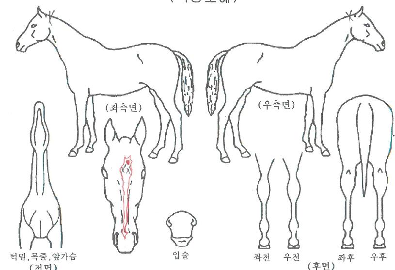 ��ġ������ ����,���,�޸�,�λ�,�ٸ��� Ư¡����