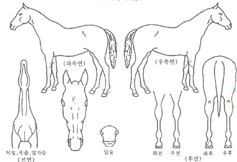 ´É·Â½Ã´ëÀÇ Ãø¸é,¿ì¸é,µÞ¸é,µÎ»ó,´Ù¸®ÀÇ Æ¯Â¡µµÇØ