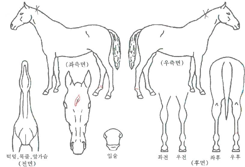 �����Լ��� ����,���,�޸�,�λ�,�ٸ��� Ư¡����