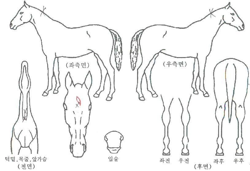 ���л����� ����,���,�޸�,�λ�,�ٸ��� Ư¡����