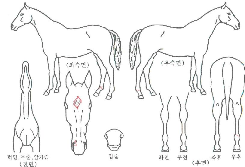 ��Ʈ�ܼ�Ʈ�� ����,���,�޸�,�λ�,�ٸ��� Ư¡����