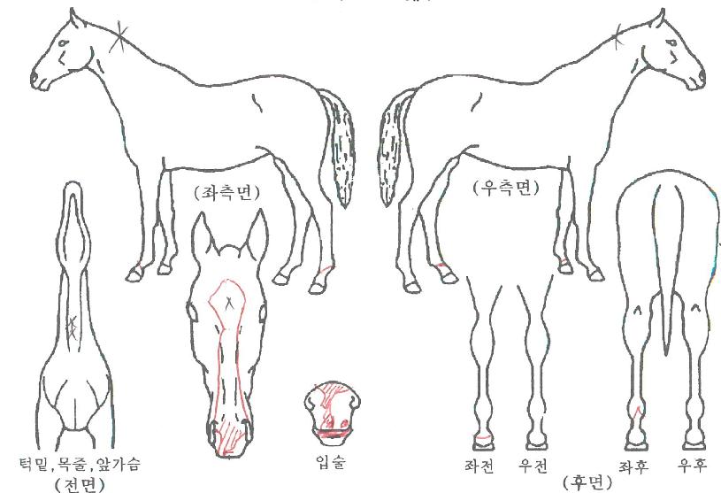 �����ѹ��ڱ��� ����,���,�޸�,�λ�,�ٸ��� Ư¡����