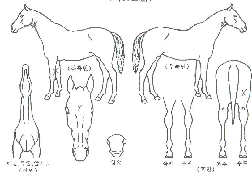 �̽���ũ�� ����,���,�޸�,�λ�,�ٸ��� Ư¡����