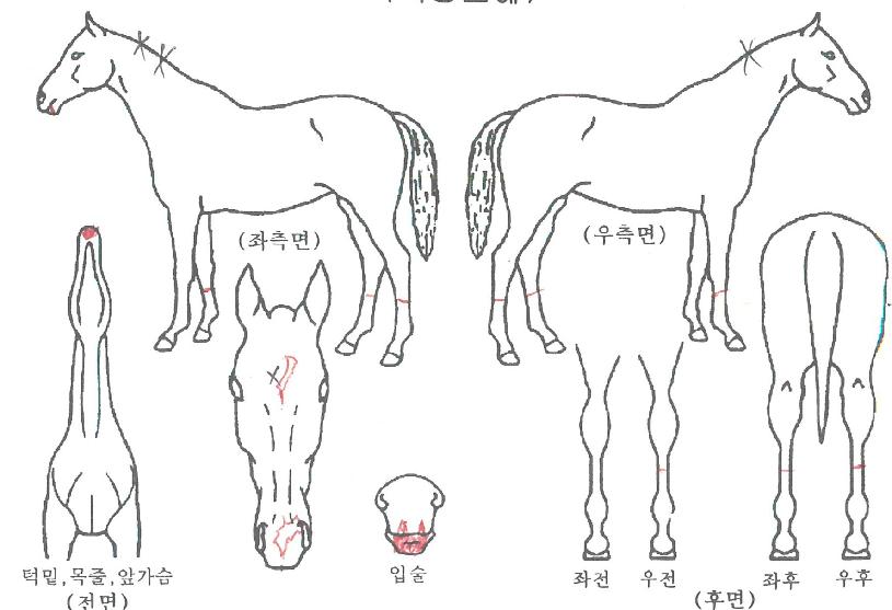 Ŭ���������� ����,���,�޸�,�λ�,�ٸ��� Ư¡����