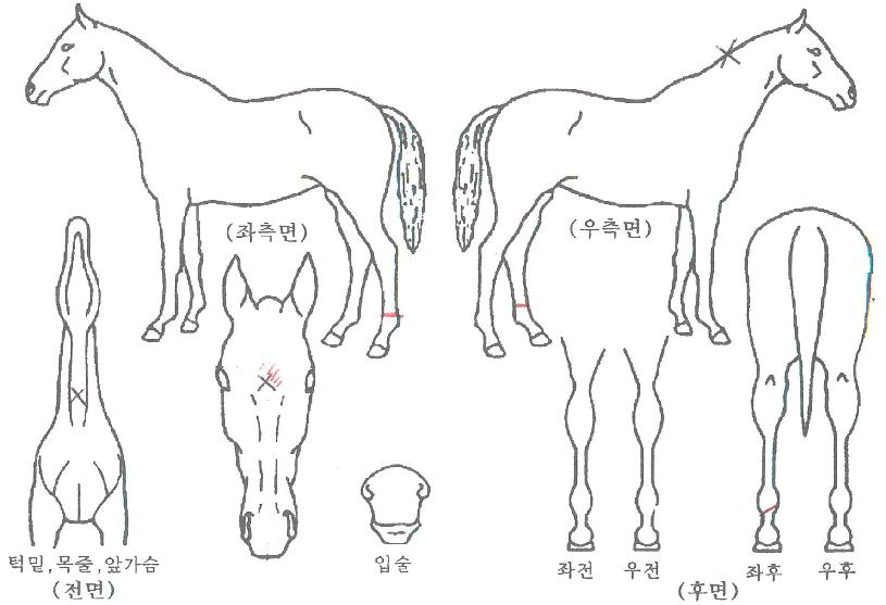 ��������� ����,���,�޸�,�λ�,�ٸ��� Ư¡����