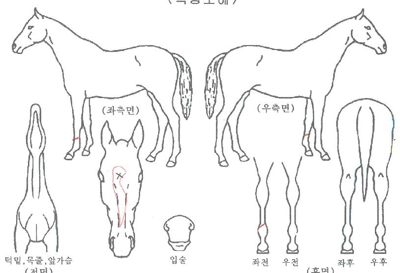 ����������Ÿ�� ����,���,�޸�,�λ�,�ٸ��� Ư¡����